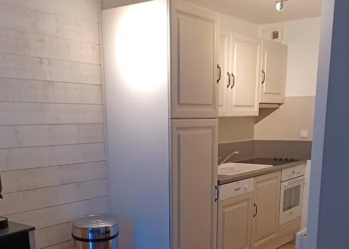 Duplex Classé 4 étoiles Plein Centre Village Appartement Saint-Lary-Soulan